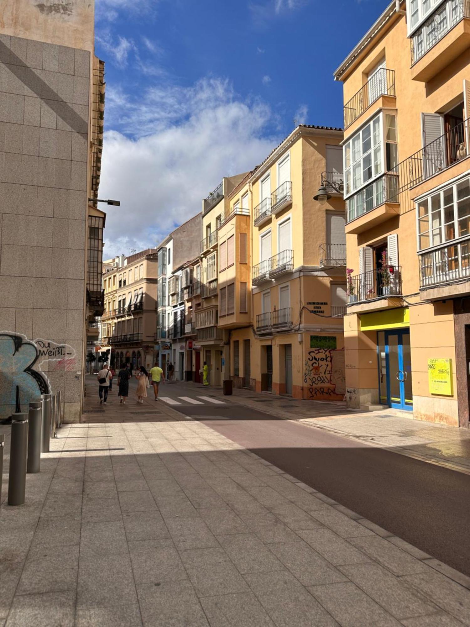 Lejlighed Carreteria Deluxe Málaga